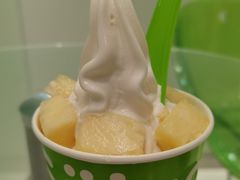 -Salud撒露欧洲冻酸奶(蓝色港湾店)