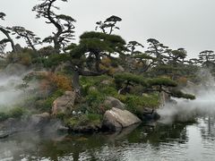 -罗红摄影艺术馆