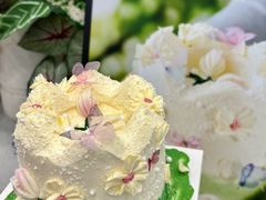-山与蓝·轻糖鲜果蛋糕(勒泰店)