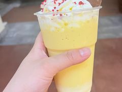 gelato-VENCHI 闻绮(上海佛罗伦萨小镇店)