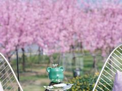 -福建鲤鱼洲酒店