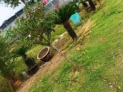 -呼吸森林·生态农庄农家乐私房菜