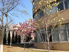 -大连外国语大学(旅顺校区)