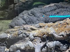 -顺德南宏海立方海洋公园