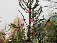 -南城十里潮汕鲜牛火锅·鲜虾生滚粥(融汇老商埠店)