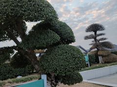 -苏州太湖国际会议中心