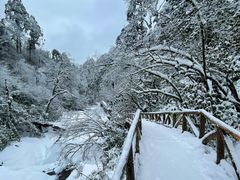 -龙苍沟森林公园