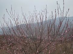 -北京西山国家森林公园