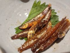 味淋小公鱼-镹·鱼料理  国产鱼使用店