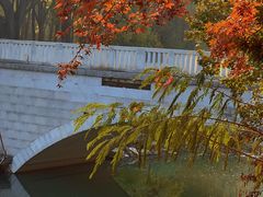 -大兴滨河森林公园