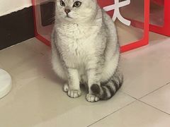 -静竺采耳·足道推拿(晨阳世纪城店)