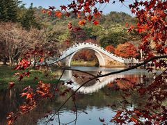-田野绿世界
