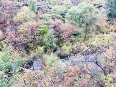 -百里山水画廊乌龙峡谷