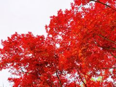 -苏州碑刻博物馆