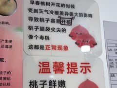 -老袁家蜜桃农场·阳山水蜜桃