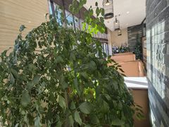 -郑庄脂渣海鲜楼(九水路店)
