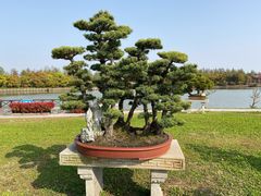 -上海海湾国家森林公园