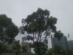 -中央公园(苏州工业园区)