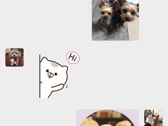 -Oh My Dog宠物沙龙(伊珊娜皮毛护理店)