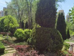 -前关湿地公园