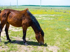 -亿利库布其七星湖沙漠生态旅游区