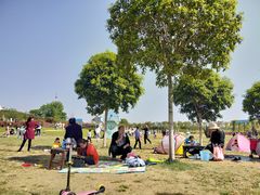 -武汉紫薇都市田园