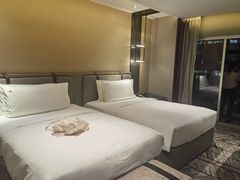 -新加坡瑞士史丹福酒店