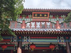 -灵谷景区