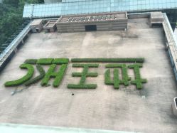 点击看大图 -TSO 慕尚·微潮派