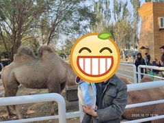 -长白岛森林公园