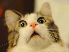 -肯德基(学院路店)