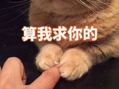-麦克小熊时尚量贩KTV(神道口店)