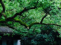 -惠山古镇·寄畅园