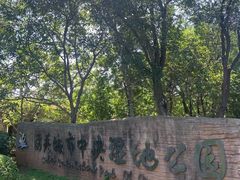 -前关湿地公园