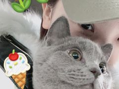 -美迦爱-牙专科·兔科·骨科诊疗中心(北苑店)