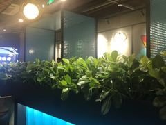 -东椰·海南椰子鸡火锅(朝阳门店)