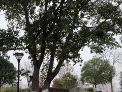 -沙河三洞古桥公园