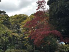 -上野公园花园稻荷神社(忍岡稲荷神社)
