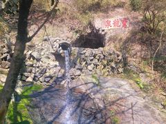 -宁波市保国寺古建筑博物馆