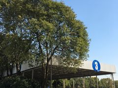 -上海市公安局交通警察总队车辆管理所三分所