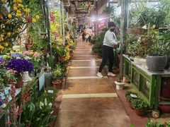 -朝来春花卉市场