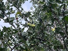 -云南滇池花园国际大酒店温泉