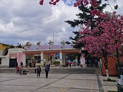 -昆明动物园