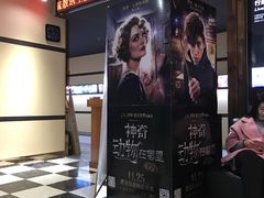 -华美国际影城(旧宫永辉店)