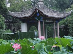 -莲湖公园