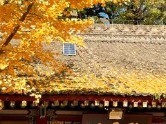-少华山国家森林公园