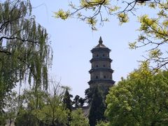 -晋祠公园