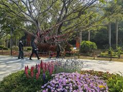 -云溪植物园