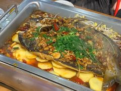 -黑猫馋纸包鱼(阳光店)