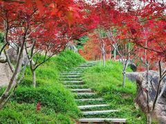 -广州市帽峰山景区